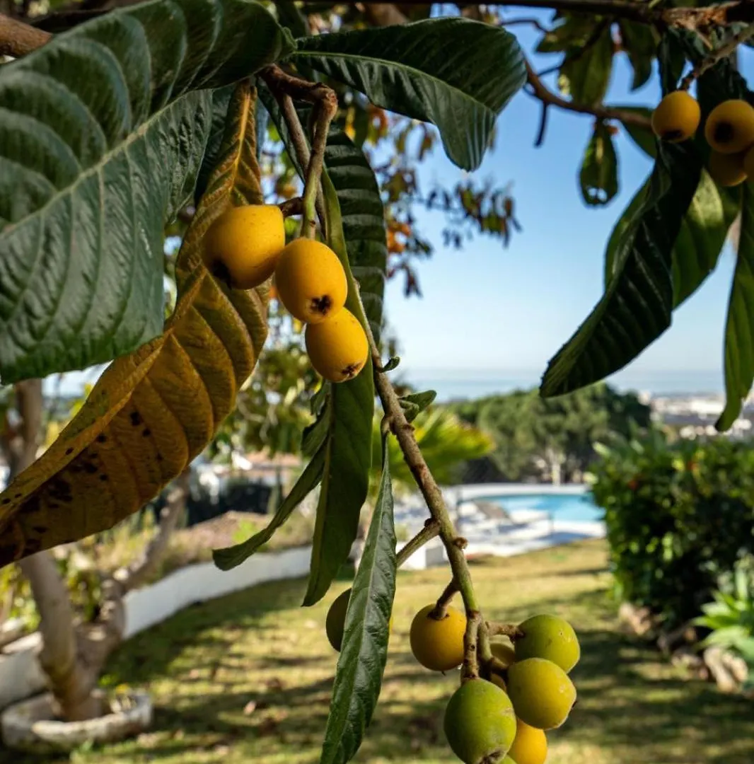 Villa De Luxe Avec Vue Epoustouflante Benahavís